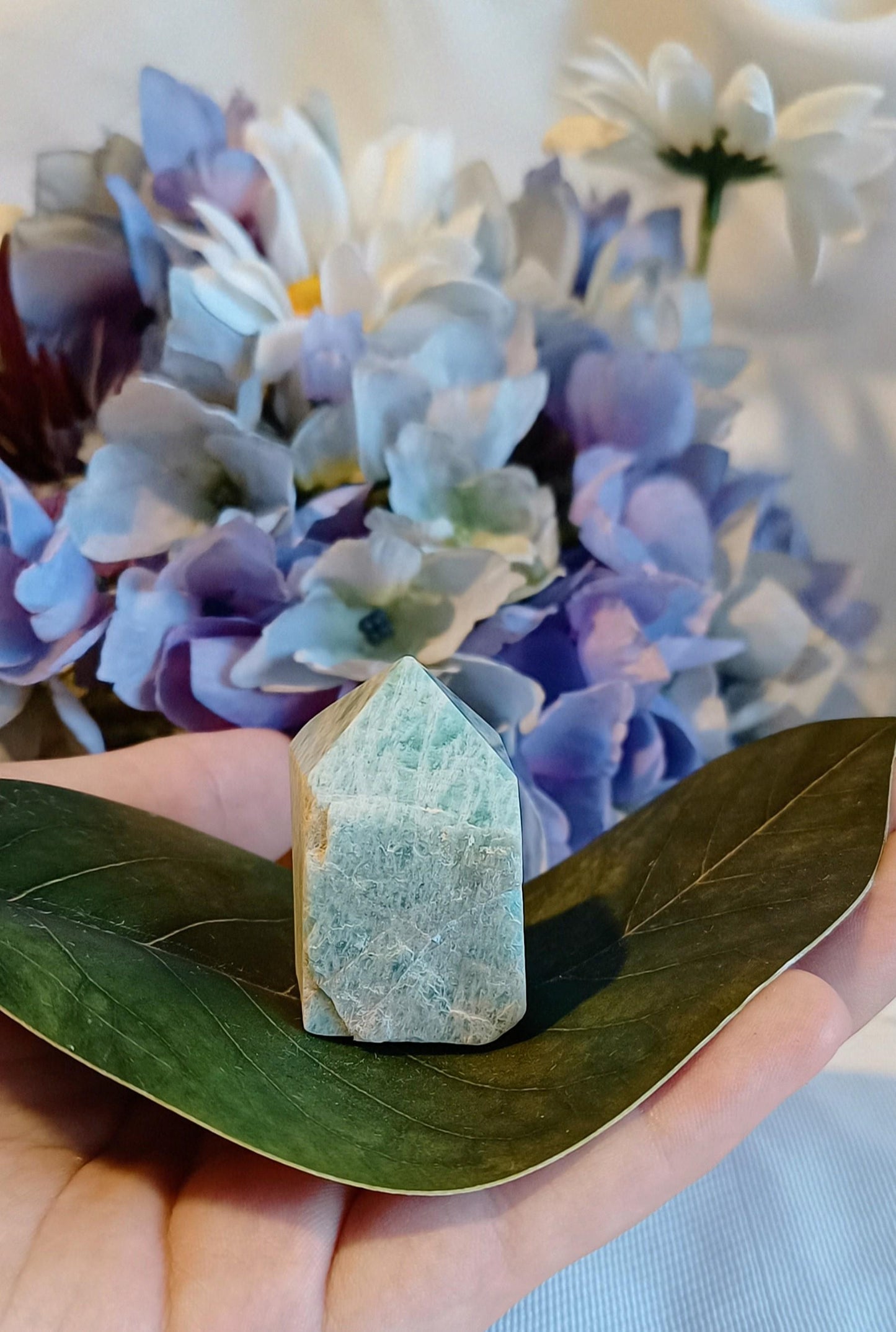 AMAZONITE- Generator