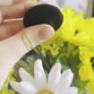 Inspirational Pocket Stone | Hope Word Stone | Tiger-eye | Obsidian | Dalmatian