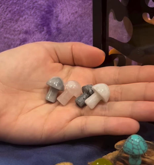 Crystal Mini Mushroom Stones Assortment Spiritual Collectables    ( Get 4 per purchase)