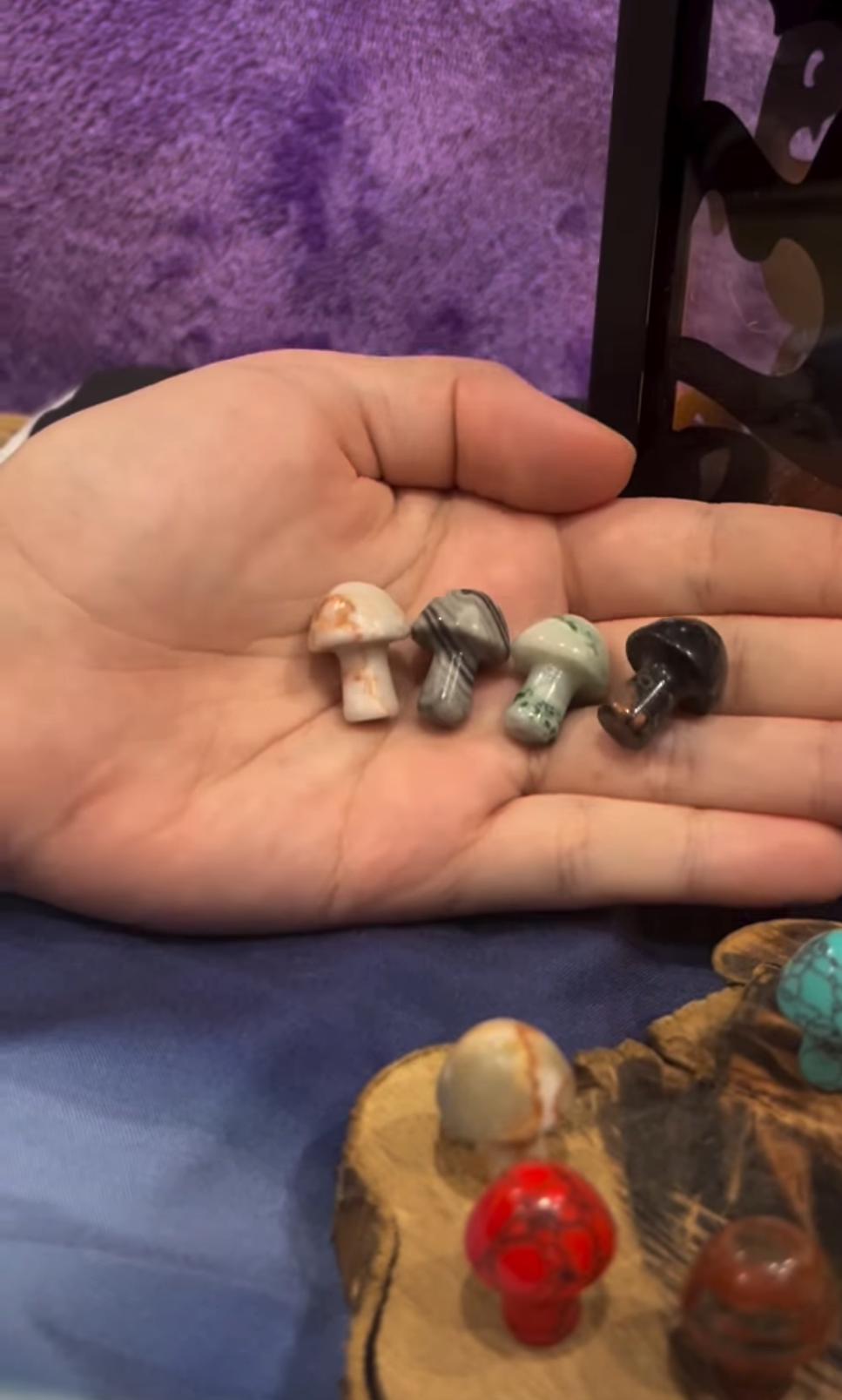 Crystal Mini Mushroom Stones Assortment Spiritual Collectables    ( Get 4 per purchase)
