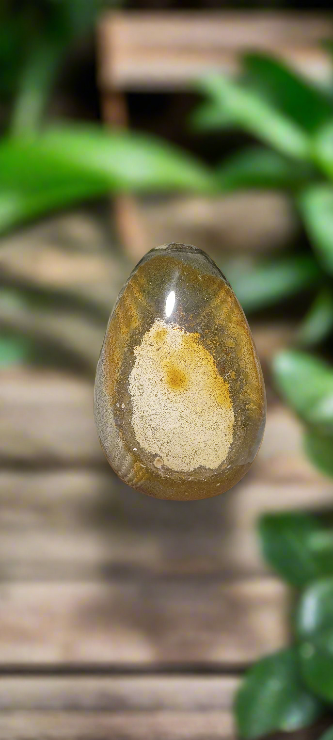 Polished Ocean Jasper Freeform | 14H cm x 10Lcm